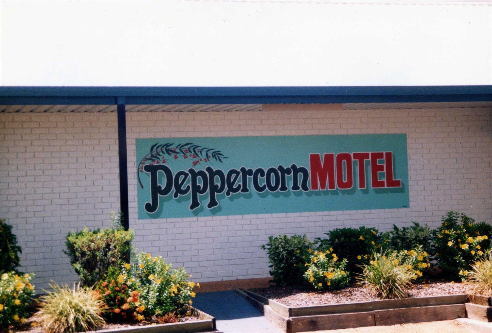 Peppercorn Motel Clermont Εξωτερικό φωτογραφία